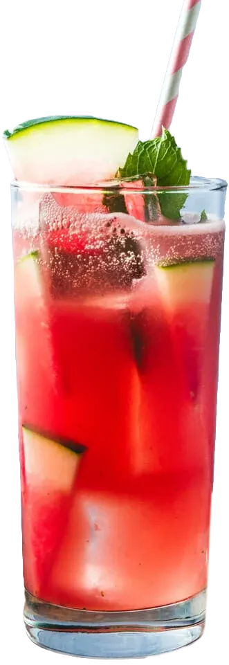 Watermelon mojito